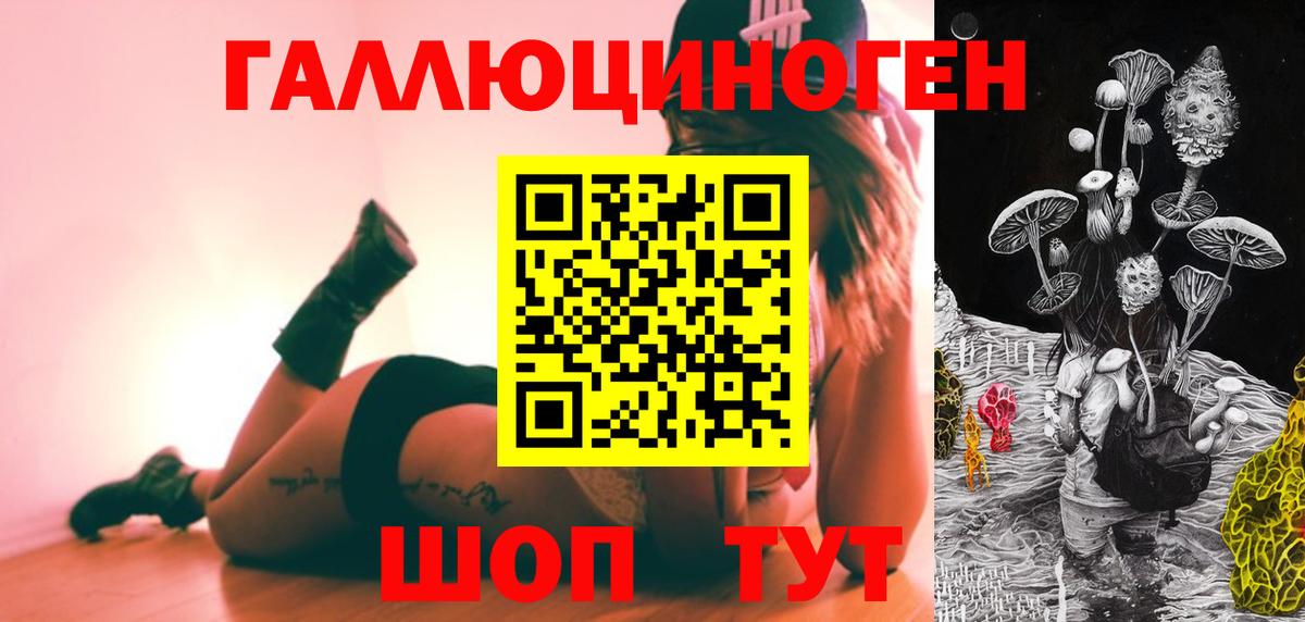 Урюпинск  Галлюциногенные грибы Psilocybine cubensis  Вход с VPN  Галлюциногенные грибы Psilocybine cubensis 